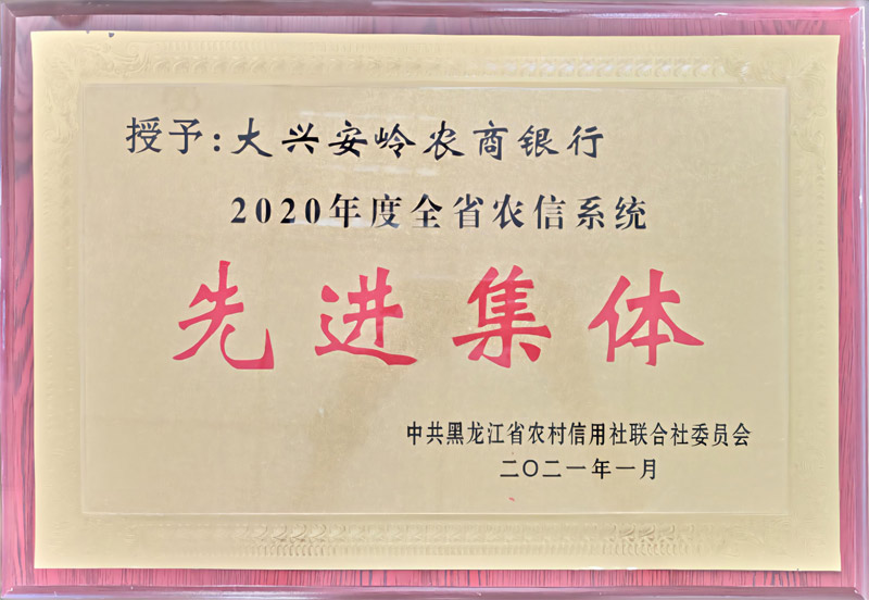 2020年先进集体.jpg